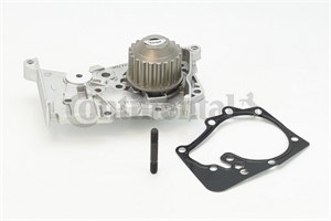 Vattenpump, DACIA,LADA,NISSAN,RENAULT, 2101000Q0D, 2101000Q0F, 2101000Q1A, 2101000Q3C, 21010-00QAA, 210100753R, 210105296R, 77 00 105 17