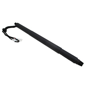 Gasfjäder, Lastgolv (Lastutrymme), Höger bak, Bagageutrymme, BMW X6 [F16, F86], 51247318652