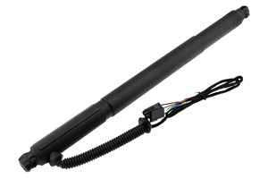 Gasfjäder, Lastgolv (Lastutrymme), Vänster bak, BMW X6 [E71, E72], 51244887653, 51247332697