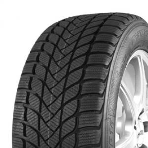 Mastersteel Winter + IS-W 195/65R15 91H Dubbfritt