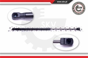 Gasfjäder, bagageutrymme, Bak, VAUXHALL ASTRA Mk IV, 132739, 90559245, 905592450
