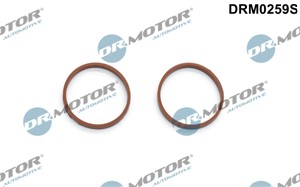 Packningssats, insug, grenrör, CITROËN,DACIA,DS,FIAT,FORD,LAND ROVER,MAZDA,MERCEDES-BENZ,MITSUBISHI,NISSAN,PEUGEOT,RENAULT,TOYOTA,VOLVO,
