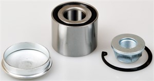 Hjullagersats, Bakaxel, DACIA,RENAULT, 43 21 002 86R, 77 01 210 004, 7701210004, 82 00 600 646