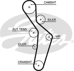 Kamrem, AUDI A3, A3 Sportback, A4 B6, A4 B6 Avant, VW GOLF V, TOURAN, 06D109119