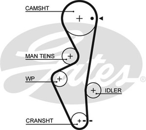 Kamrem, NISSAN SUNNY Skåp / kombi III, 13028-59Y00, 13028-59Y25, AY440-NS007