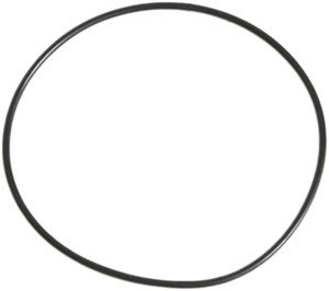 O-ring