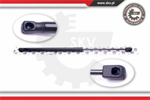 Gasfjäder, bagageutrymme, Bak, CITROËN C5 I, 8731F6