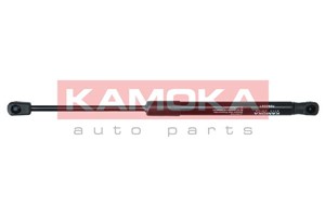 Gasfjäder, bagageutrymme, Bagageutrymme, BMW 5 Gran Turismo [F07], 51247200516, 51247288721