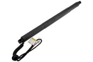 Gasfjäder, bagageutrymme, Vänster bak, BMW X6 [F16, F86], 51247434044