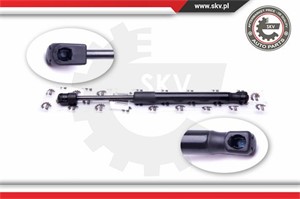 Gasfjäder, bagageutrymme, Bak, FORD FOCUS Sedan II, 1336159, 1376673, 1692162, 5M51F406A10AB