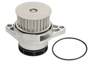 Vattenpump, SEAT CORDOBA, IBIZA II, VW POLO III, 036121005, 036121005D, 036121005DV, 036121005DX, 036121005J, 036121005M, 036121005MX, 0