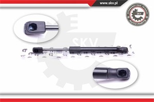 Gasfjäder, bagageutrymme, Bak, OPEL VECTRA C, VAUXHALL VECTRA Mk II, 13247869, 176539, 176607, 9177081