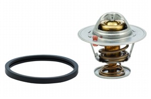 Termostat, kylvätska, CHEVROLET CAPTIVA, CRUZE, CRUZE Halvkombi, CRUZE Station Wagon, ORLANDO, OPEL ANTARA A, VAUXHALL ANTARA A, 0480192