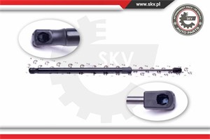 Gasfjäder, bagageutrymme, Bak, OPEL INSIGNIA A, VAUXHALL INSIGNIA Mk I, 13246577, 13313721, 13321298, 13332570, 176105, 176124, 176674