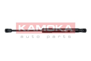 Gasfjäder, bagageutrymme, Bak, PEUGEOT 407 Coupé, 8731 L2, 9650870280
