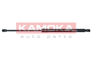 Gasfjäder, bagageutrymme, Bak, CITROËN C5 Break III, 8731 R6, 9682256580