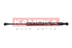 Gasfjäder, bagageutrymme, Bak, BMW 3 Coupé [E92], 51247129194