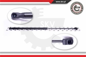 Gasfjäder, motorhuv, Fram, OPEL SIGNUM Halvkombi, VECTRA C, VECTRA C GTS, VECTRA C Kombi, VAUXHALL SIGNUM, VECTRA Mk II, 1178224, 244544