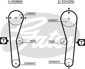 Kamrem, TOYOTA CELICA Coupé, COROLLA, COROLLA Compact, COROLLA Liftback, 13568-15040, 13568-15041, 13568-15042, 13568-15050, 13568-19135