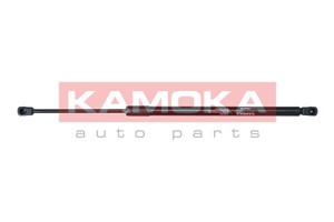 Gasfjäder, bagageutrymme, Bak, JEEP COMPASS, 05109514AB