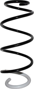 Spiralfjäder, Framaxel, RENAULT CLIO III, CLIO Grandtour III, MODUS / GRAND MODUS, 540103892R